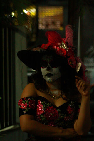 Catrina: The Elegant Spirit of Día de los Muertos 🎉💀