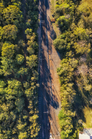 Cardinal Pathways: Nature Meets Railways 🚂🌳