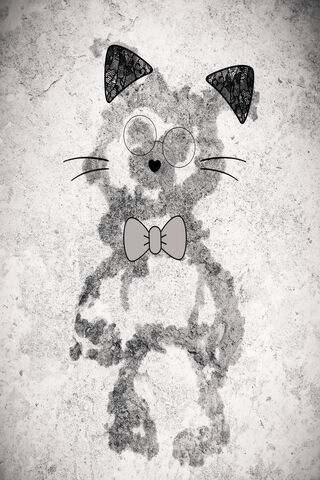 Charming Cool Cat Vibes 😎🐾