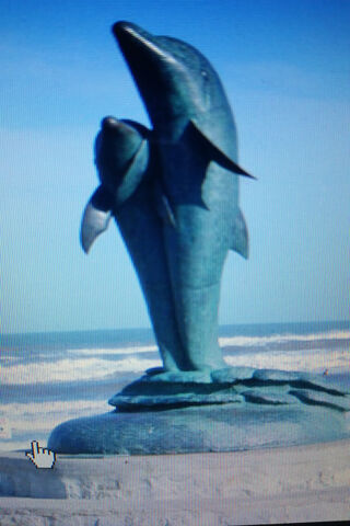 Dolphins At Sea