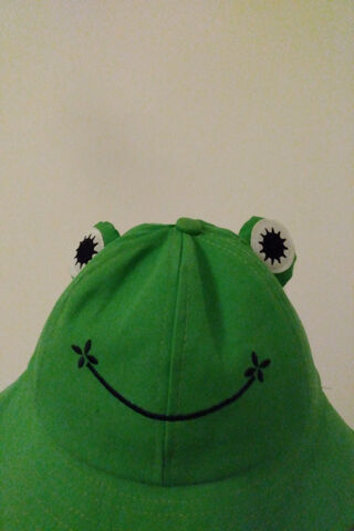 Frog Bucket Hat