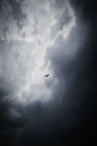 Soaring Through the Storm 🌩️✈️