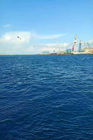 Waves of Liberation 🌊✨