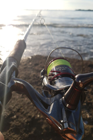 Casting Dreams: A Day by the Shore 🎣🌊