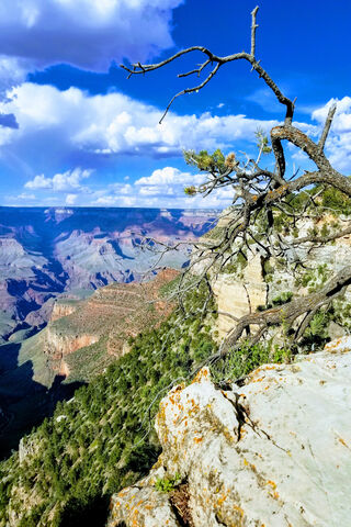 Gran Canyon Cliffs