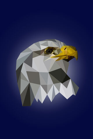 Majestic Geometry: The Graphic Eagle 🦅✨