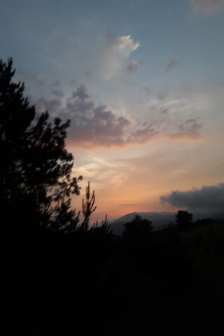 Whispers of the Sky 🌅