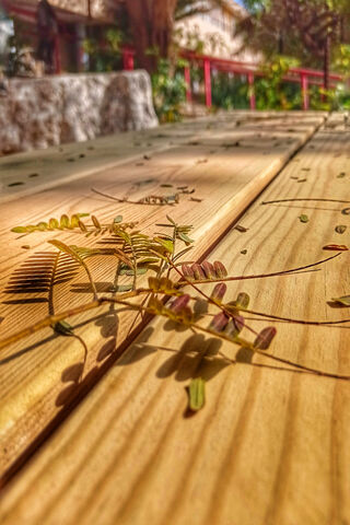 Nature's Touch: A Serene Moment