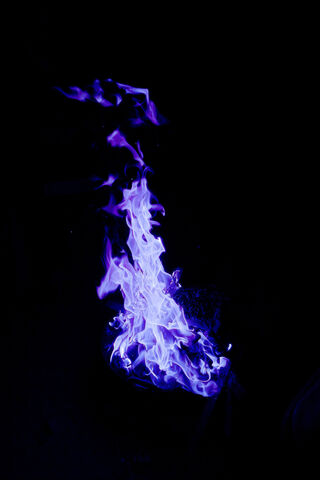 Mystical Flames: The Spirit of the Horse