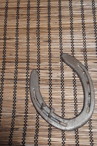 Lucky Charm: The Horseshoe