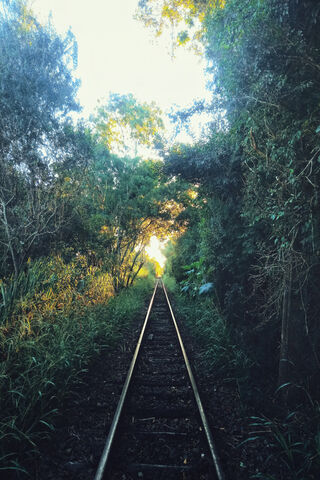 Journey Through the Green Tunnel 🚂🌿