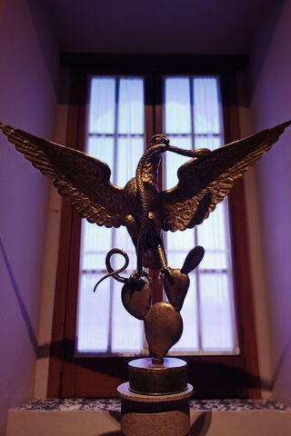 Majestic Symbol of Freedom: The Mexican Eagle 🦅🇲🇽