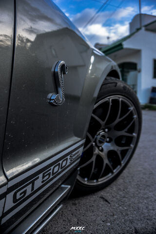 Power and Precision: The Mustang Shelby GT500