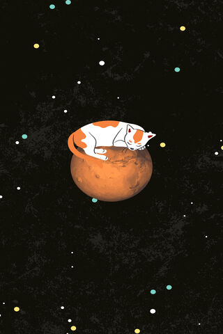 Dreaming Among the Stars: The Cosmic Cat