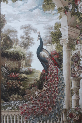 Majestic Peafowl in a Serene Garden 🌸🦚