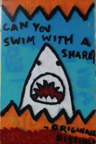 Swim With A Shark