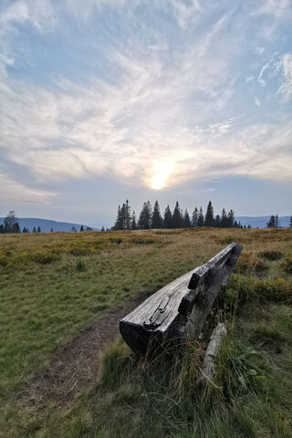 Finding Solace in Nature 🌅