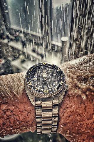 Dive into Adventure: The Seiko Diver Turtle