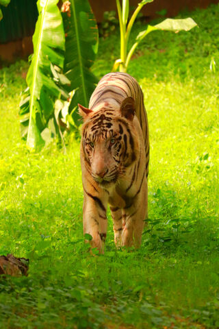Sahil Photography