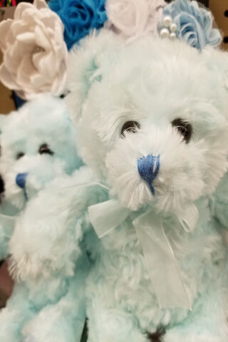 Cuddle Up with Teddy: The Softest Companion 🧸💙