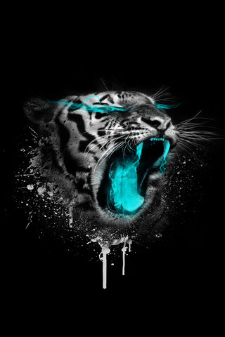 100 Black Tiger Wallpapers  Wallpaperscom