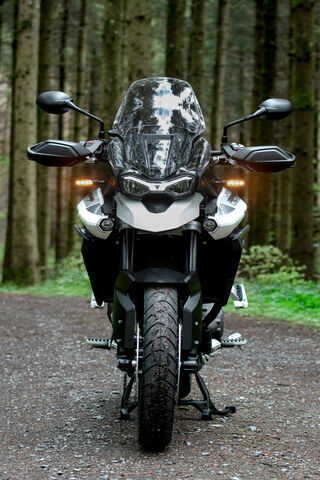 Triumph Tiger