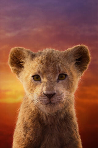 Roaring into Adventure:..