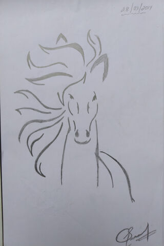 ร่างภาพวาดม้า