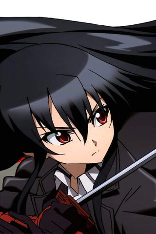 The Fierce Warrior of Night: Akame
