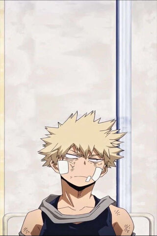 Bakugo Katsuki QwQ