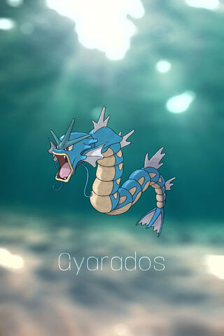 Wallpaper  1600x1000 px ishmam pokemon Shiny Gyarados 1600x1000   CoolWallpapers  1340555  HD Wallpapers  WallHere