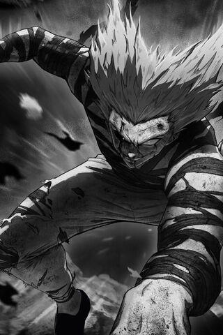 Garou: The Hero Hunter Unleashed! 🐺💥
