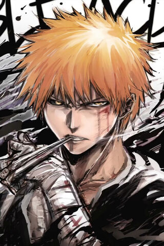 The Soul Reaper's Resolve: Ichigo Kurosaki