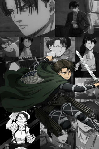 Levi Ackerman