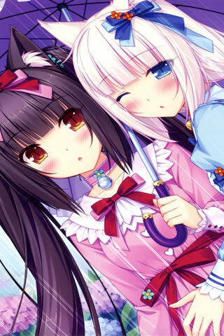 Nekopara: A Sweet Day in the Garden 🌸🐾