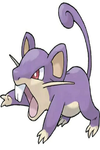 Rattata: The Quick and Cunning Pokémon! 🐭⚡
