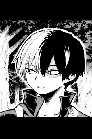 Shoreline Reflections: The Duality of Todoroki
