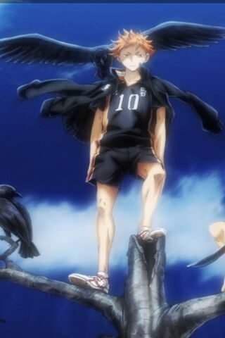 Shoyo Hinata Haikyuu
