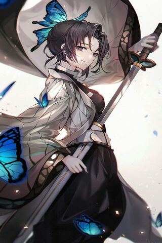 The Butterfly Hashira: ..