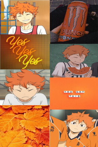 Hinata Aesthetic