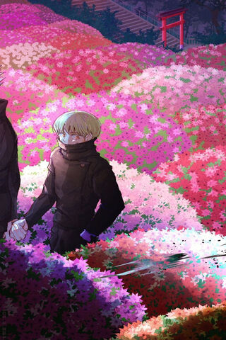 Blossoms of Sorcery: A Jujutsu Kaisen Journey 🌸✨
