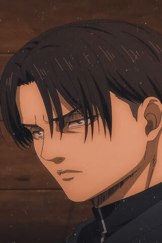 Levi Mappa Aot