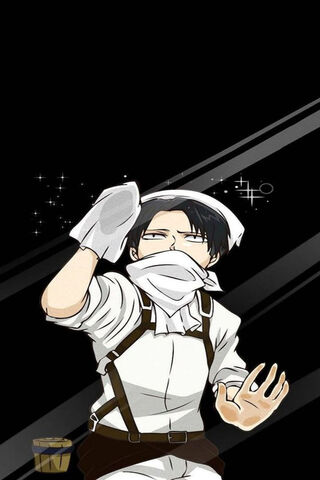 Levi: The Cleaning Tita..