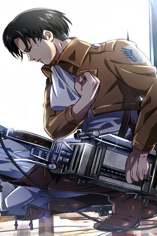 Levi Ackerman: The Unyi..