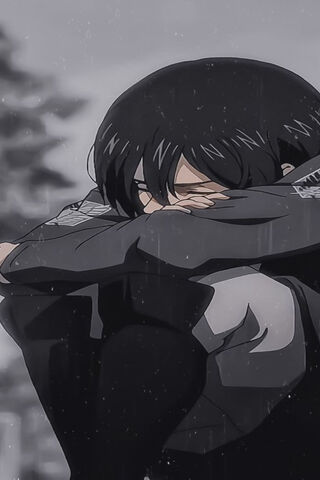 Mikasa: The Weight of the World