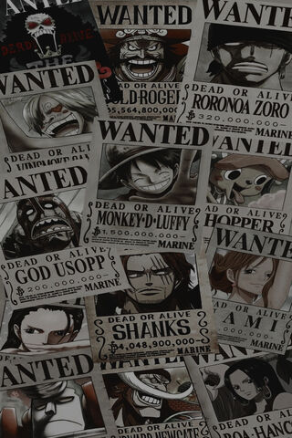 Bounty Hunters of the Grand Line!  ☠️💰