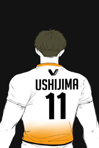 The Power of Ushijima: A Haikyuu Legend! 🏐✨