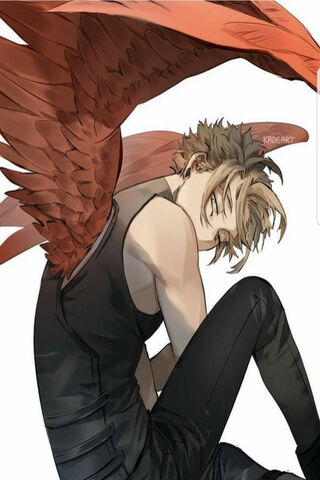 Wings of Valor: The Heroic Spirit of Hawks