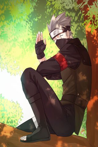 Kakashi: The Silent Gua..