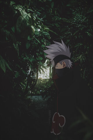 Kakashi X Akatsuki